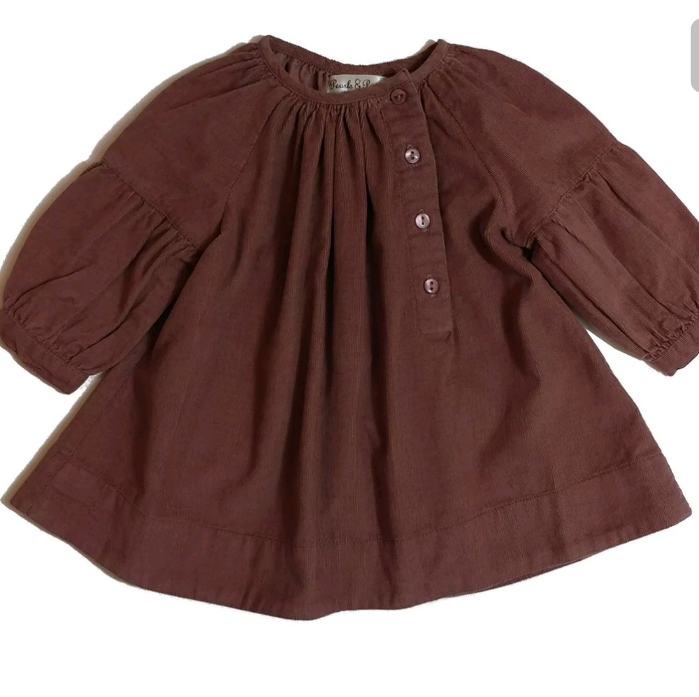 Designer European Rose Velvet Botton dress